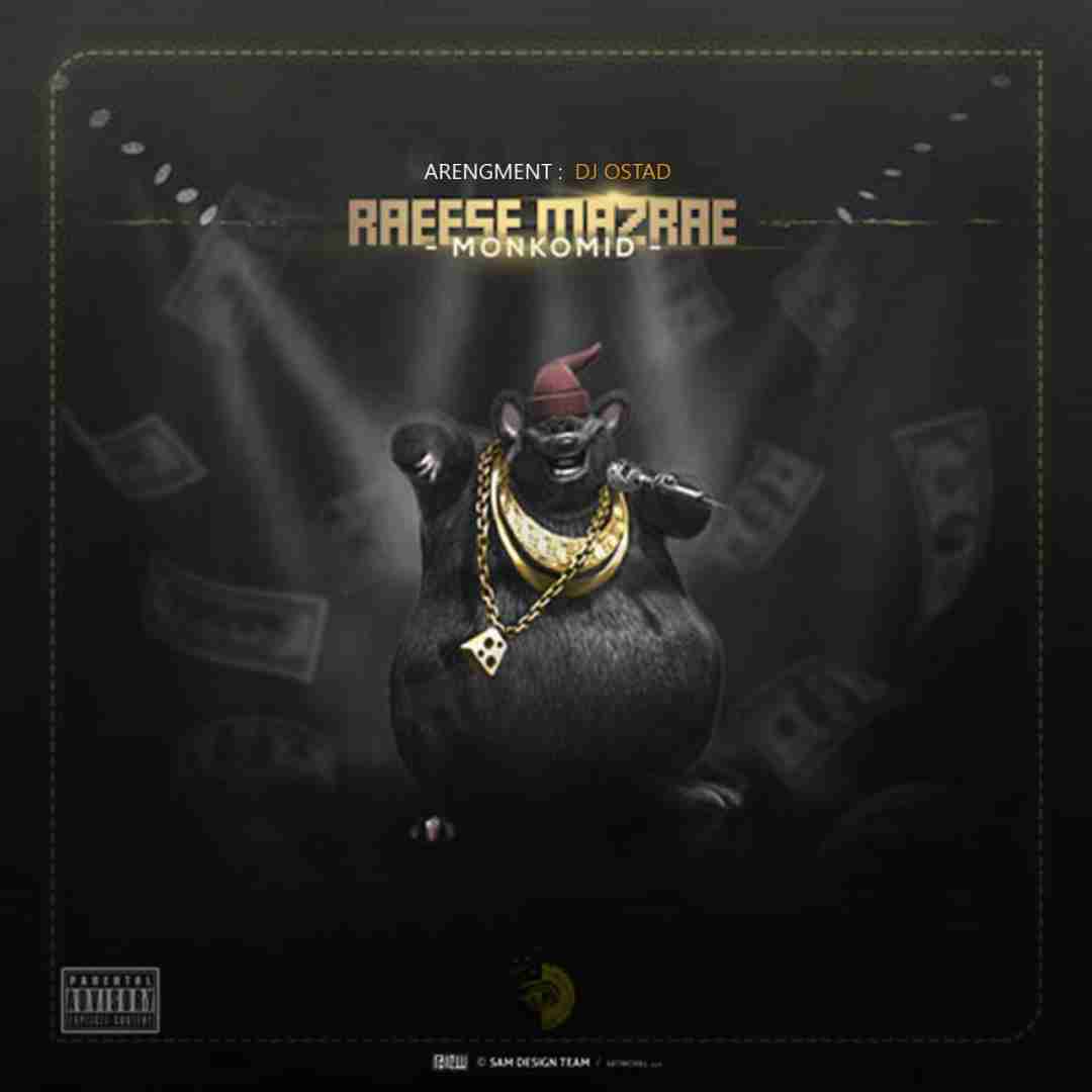 دیجی استاد بوم باستیک