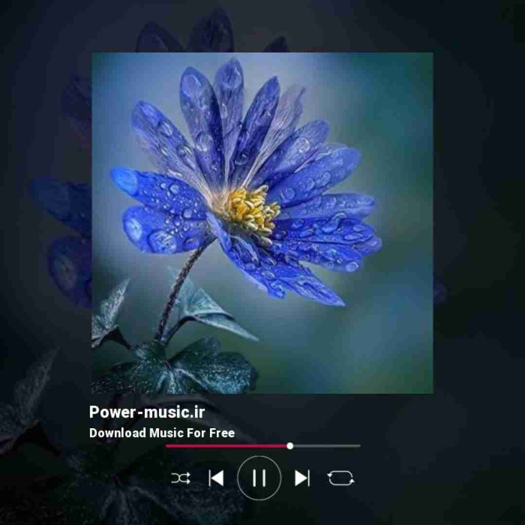  خیلی بی معرفت بودو آماتور از دید من ندیدی کاراتو