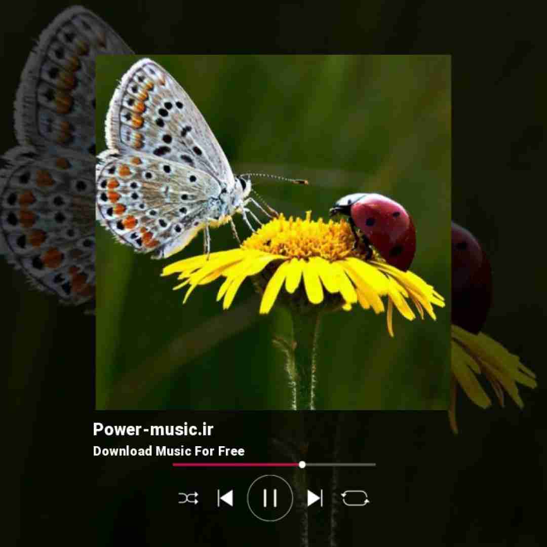  حاجی ما همینیم یه نمه عجیب و غریبیم