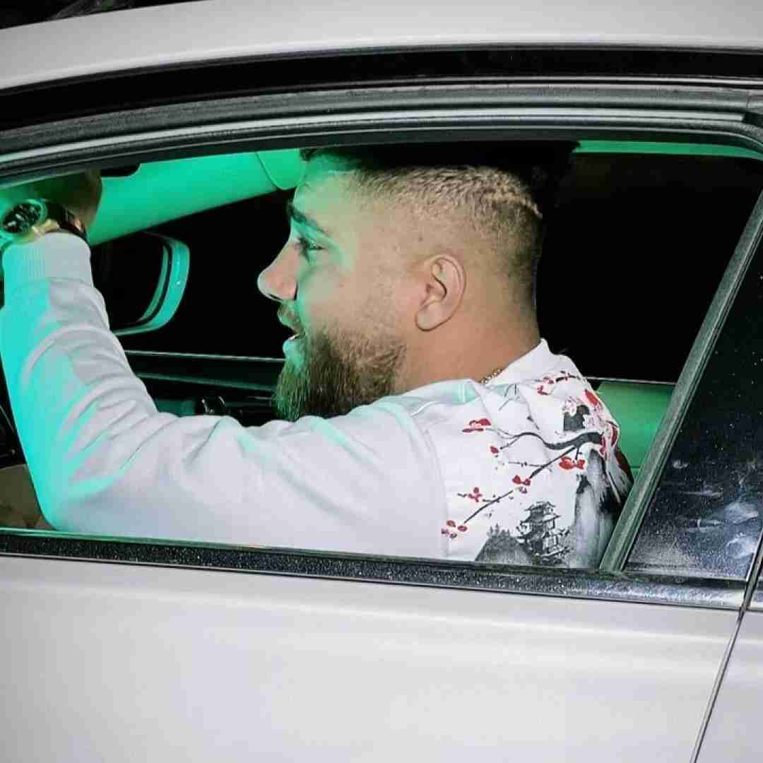 حامد سنجابی نقره ای