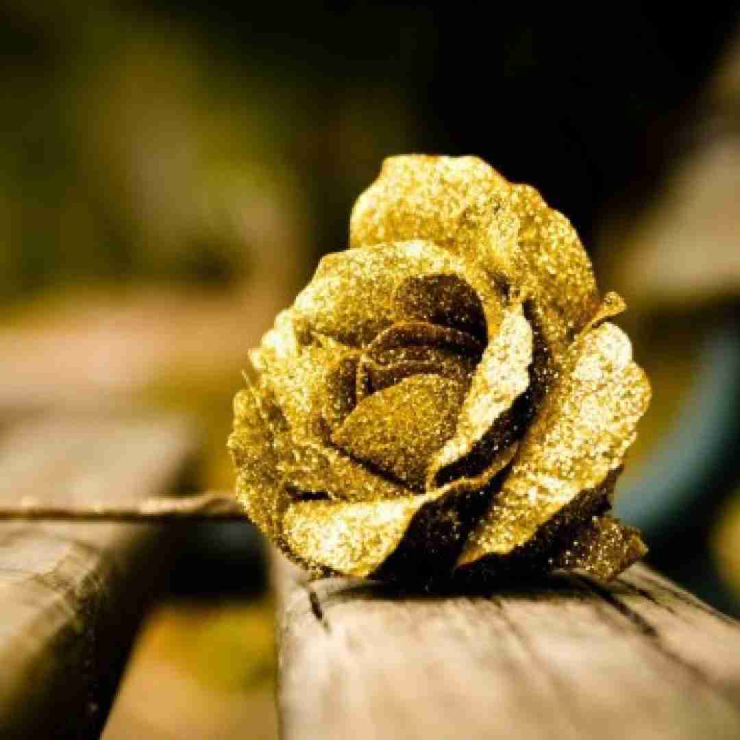  خودت بگو نباشی من کجا برم