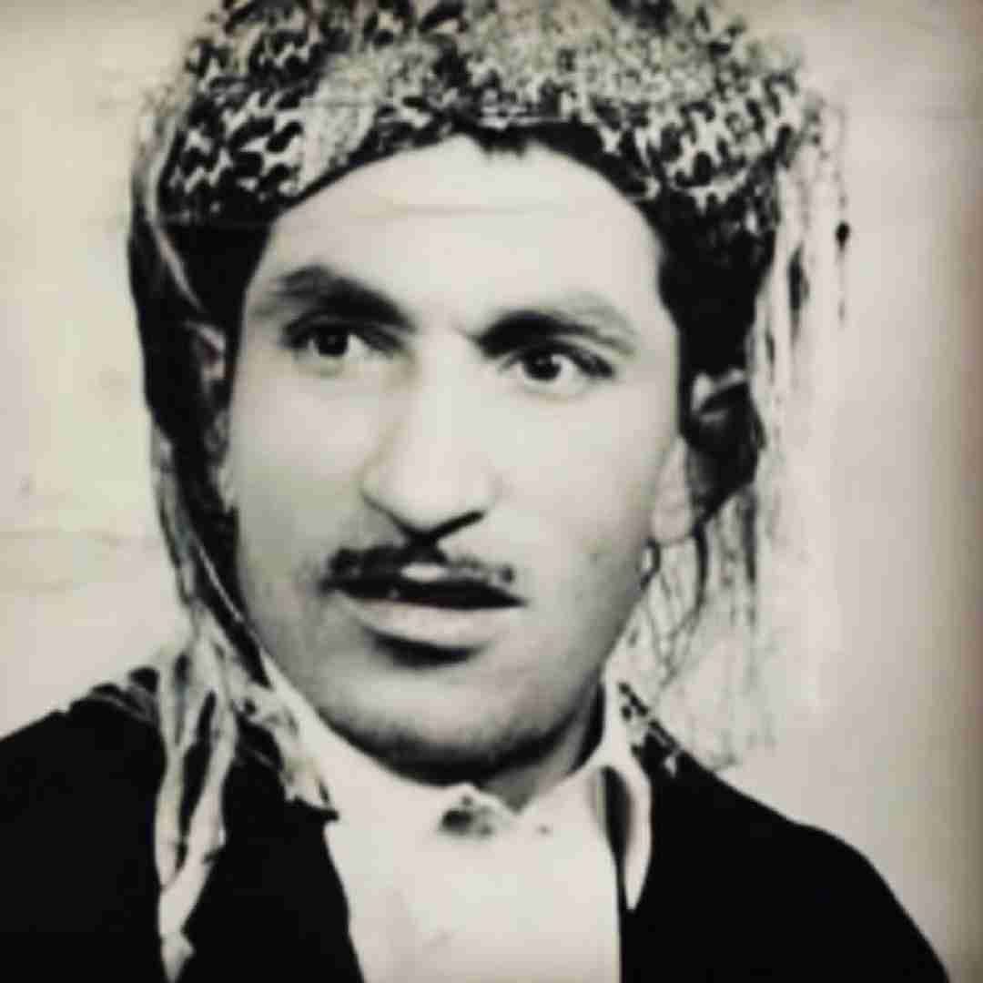 حسن زیرک بیانیت باش