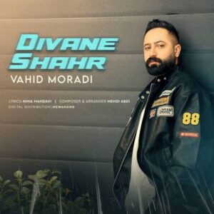 دانلود آهنگ جدید دیوانه شهر از وحید مرادی 