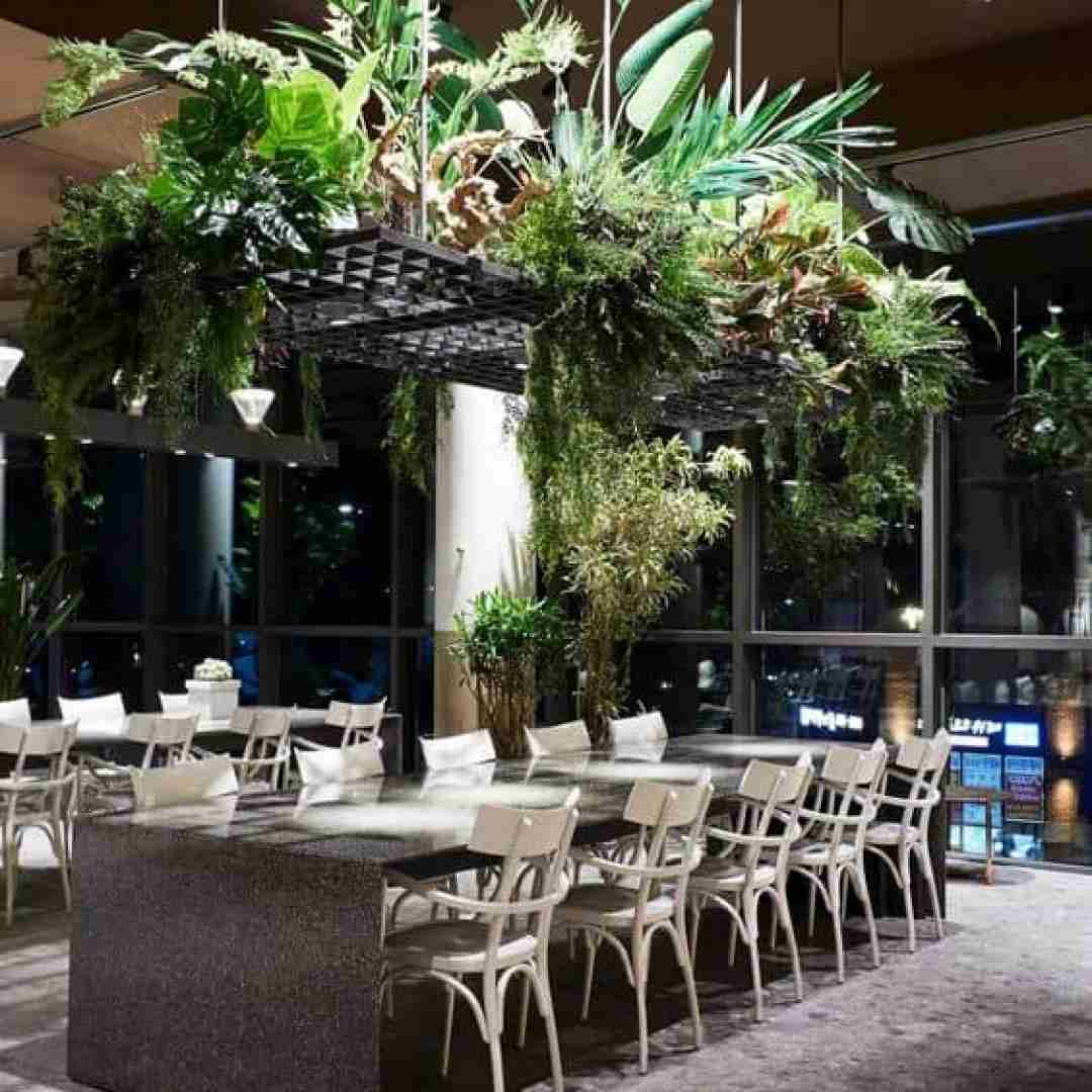 تورکان ولیزاده جیران هارالیسان