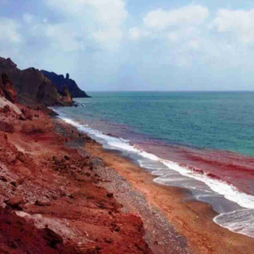  من فراموش کرده بودم همه روزای خوبو