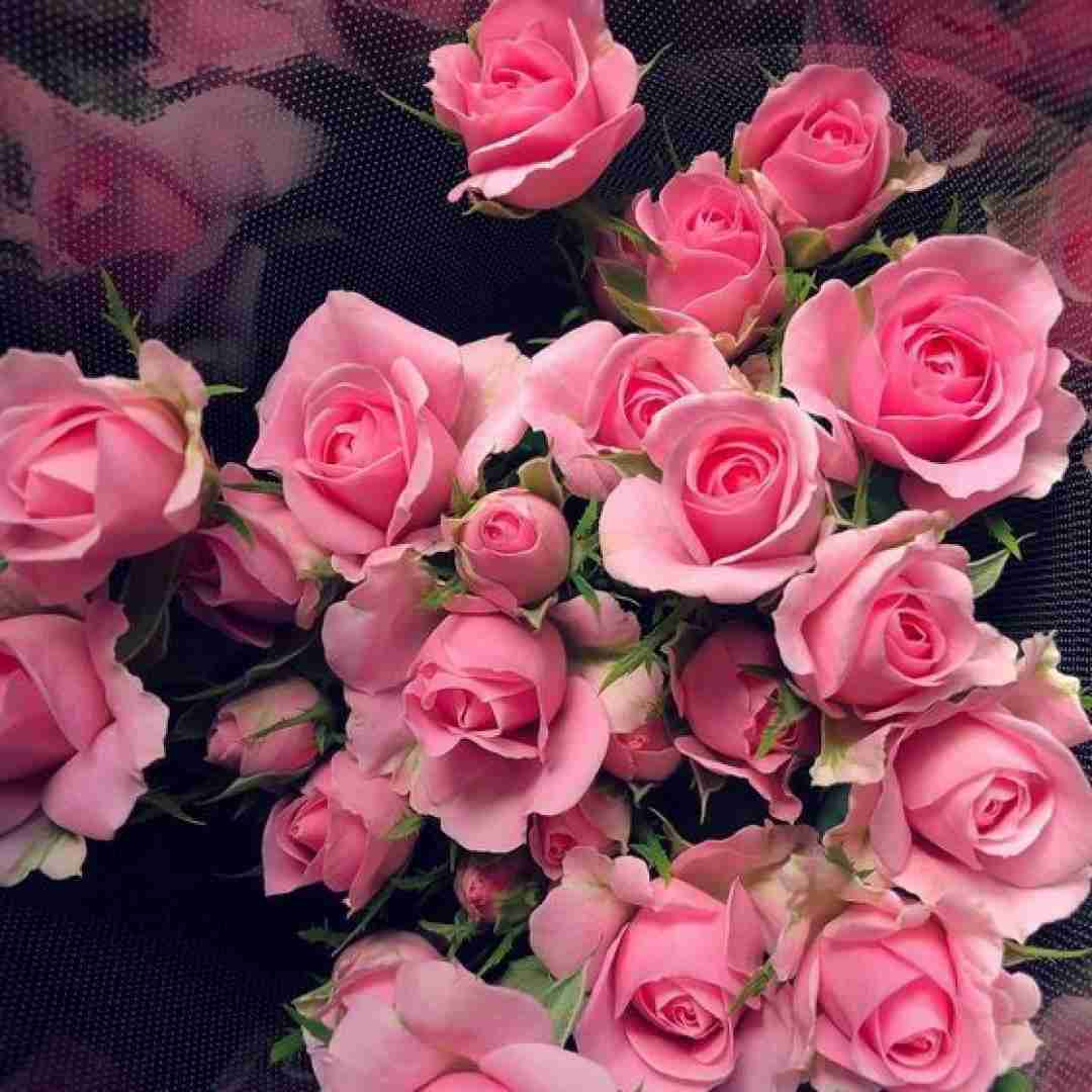  قلبم شده پیلیش پیلیش ترند اینستایی