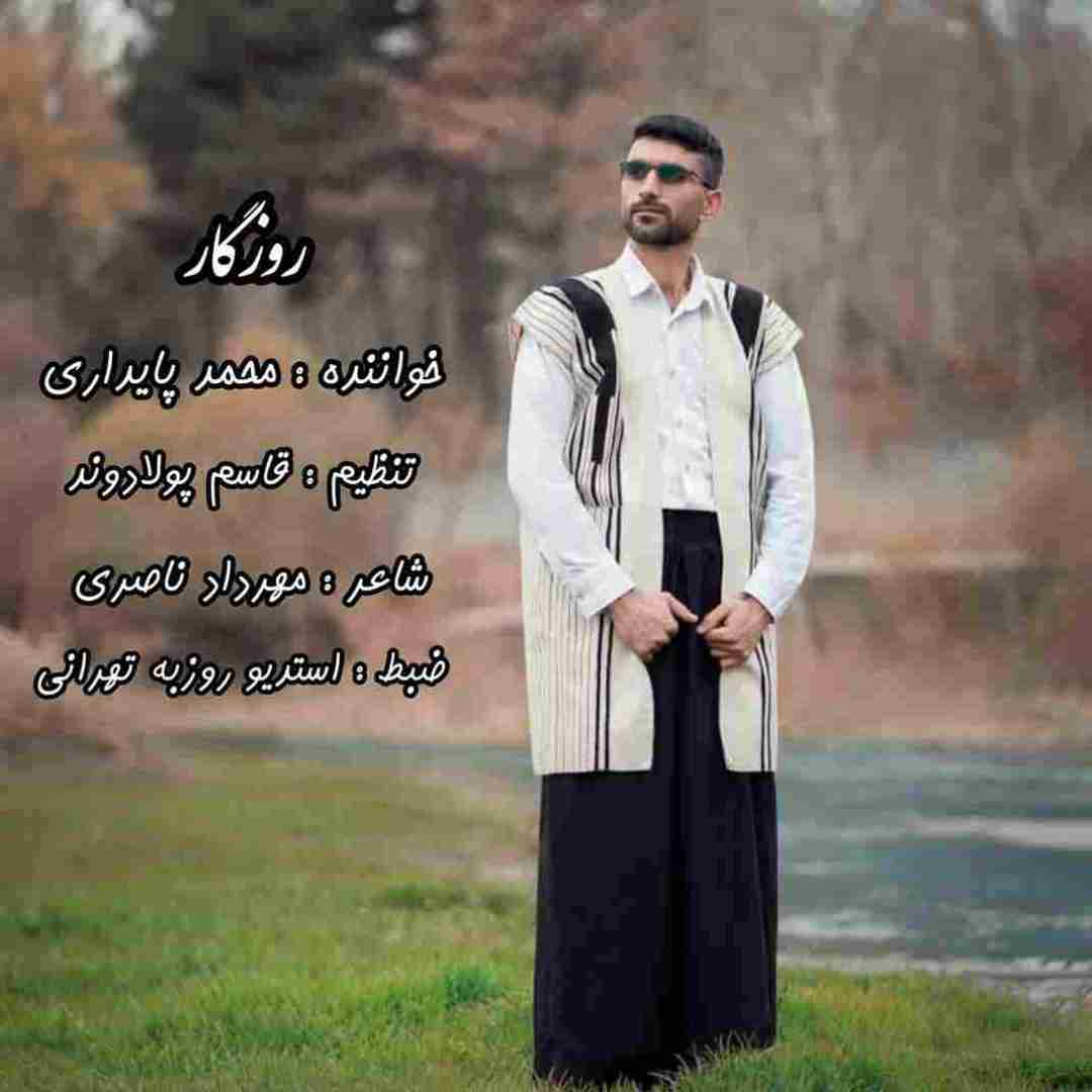 محمد پایداری روزگار