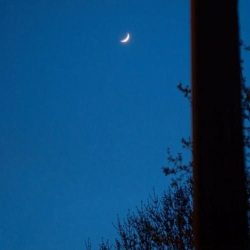 ناز دج کارا بولوتلار