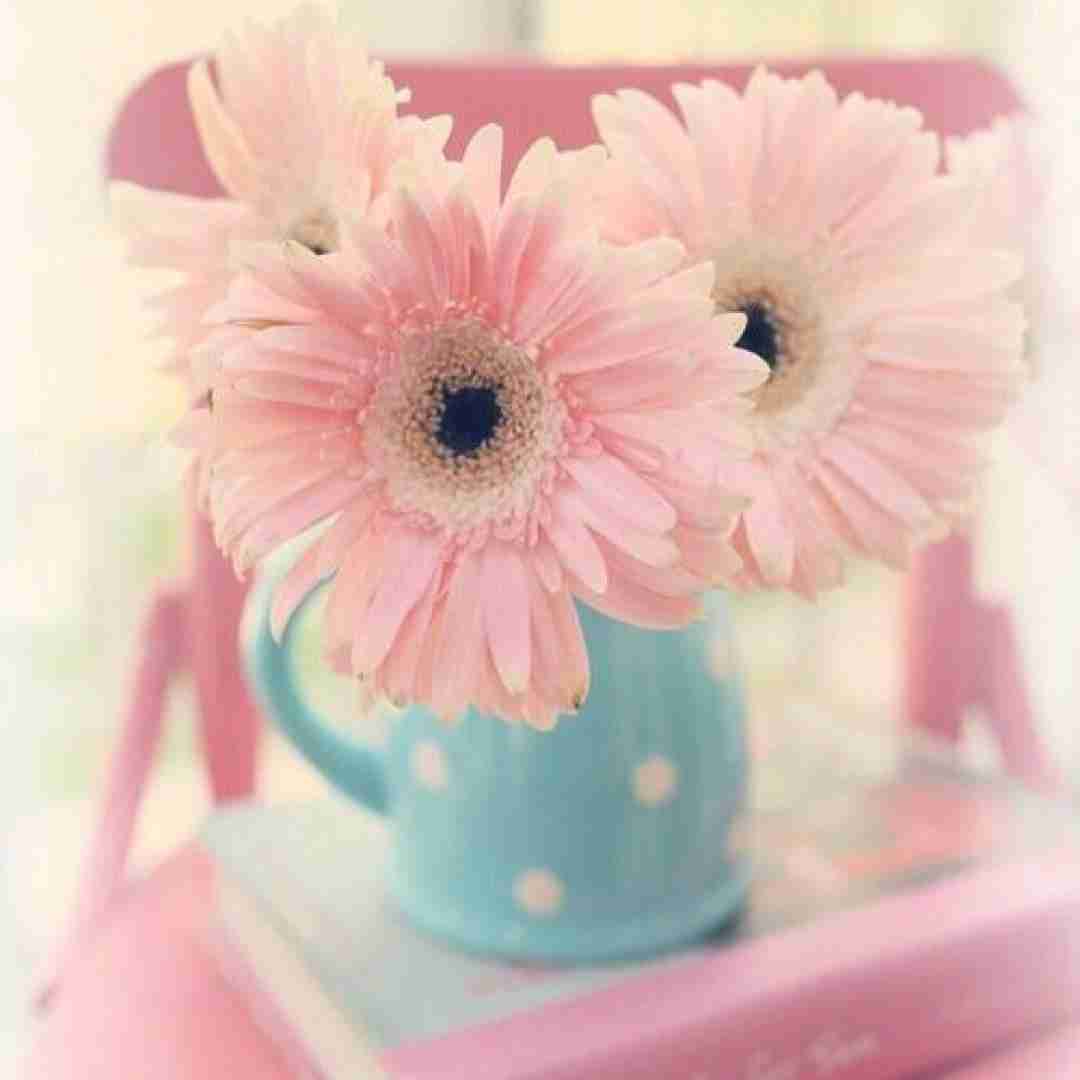 عطر شکوفه داری مثل گل بهاری با صدای مرد