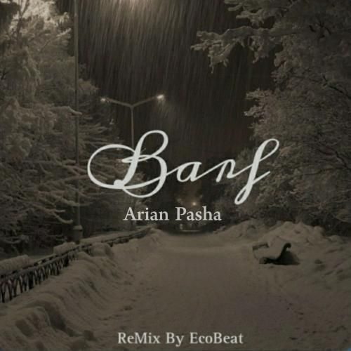 آرین پاشا برف