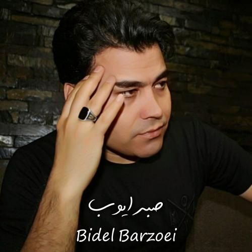 بیدل برزویی صبر ایوب