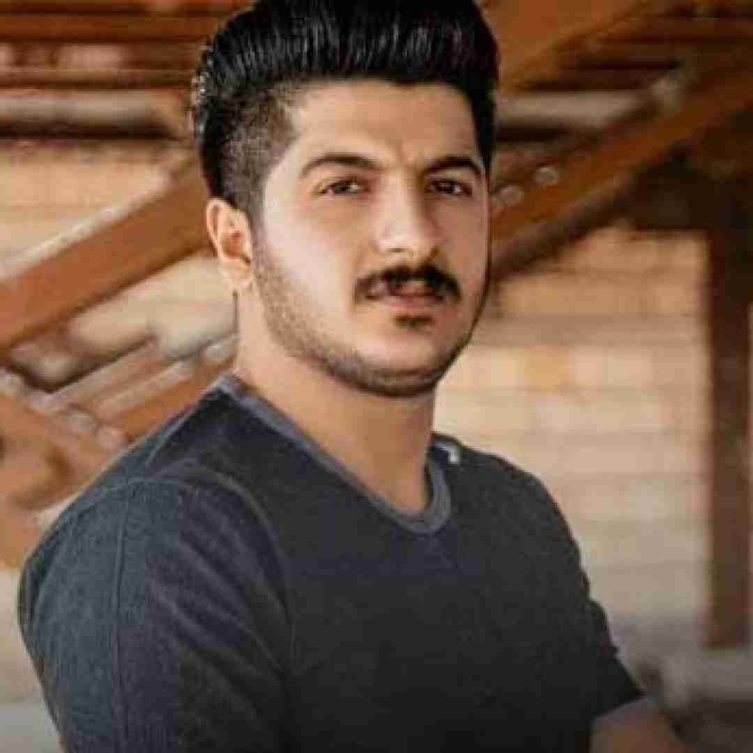 امیر سیاوشی هرای