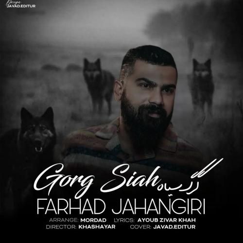 فرهاد جهانگیری گرگ سیاه