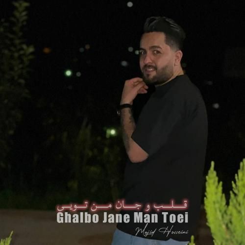 مجید حسینی قلب و جان من تویی