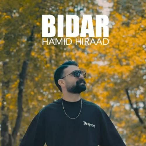 حمید هیراد بیدار