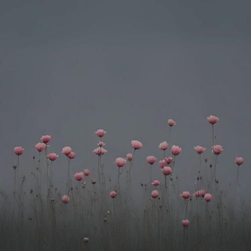  سنگ فرش خیابونارو گل کردم برات با صدای زن