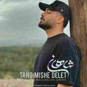 دانلود آهنگ تنگ میشه دلت از شاهان