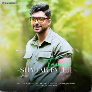 دانلود آهنگ تپش از شهاب فالجی
