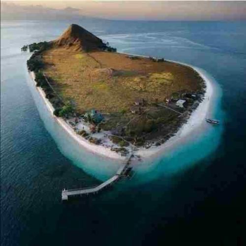  ثاري بعذر الشافوج یشکون الثوب