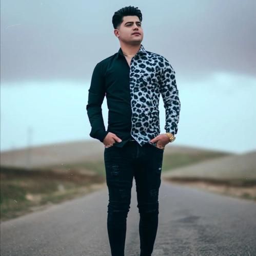 امیرحافظ رنجبر حسرت عشق بازی و یه با وفای تک پر