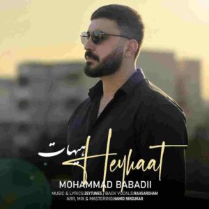 دانلود آهنگ هیهات از محمد بابادی