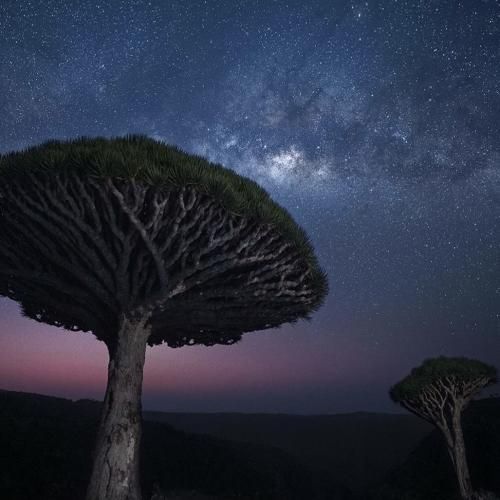 تو ماشین خاموشه ضبط سکوت تنها صدامونه