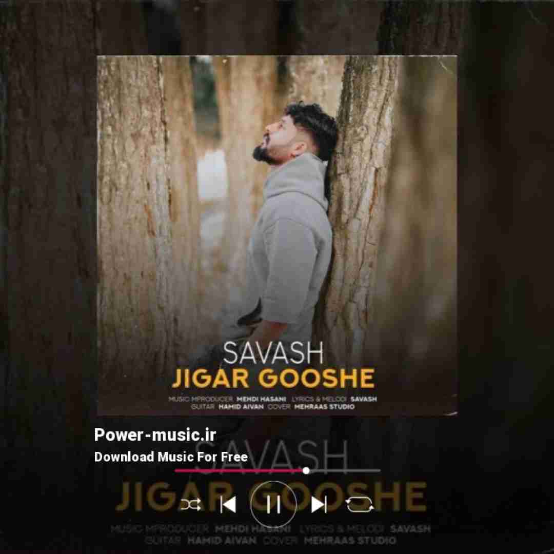 ساواش جیگر گوشه