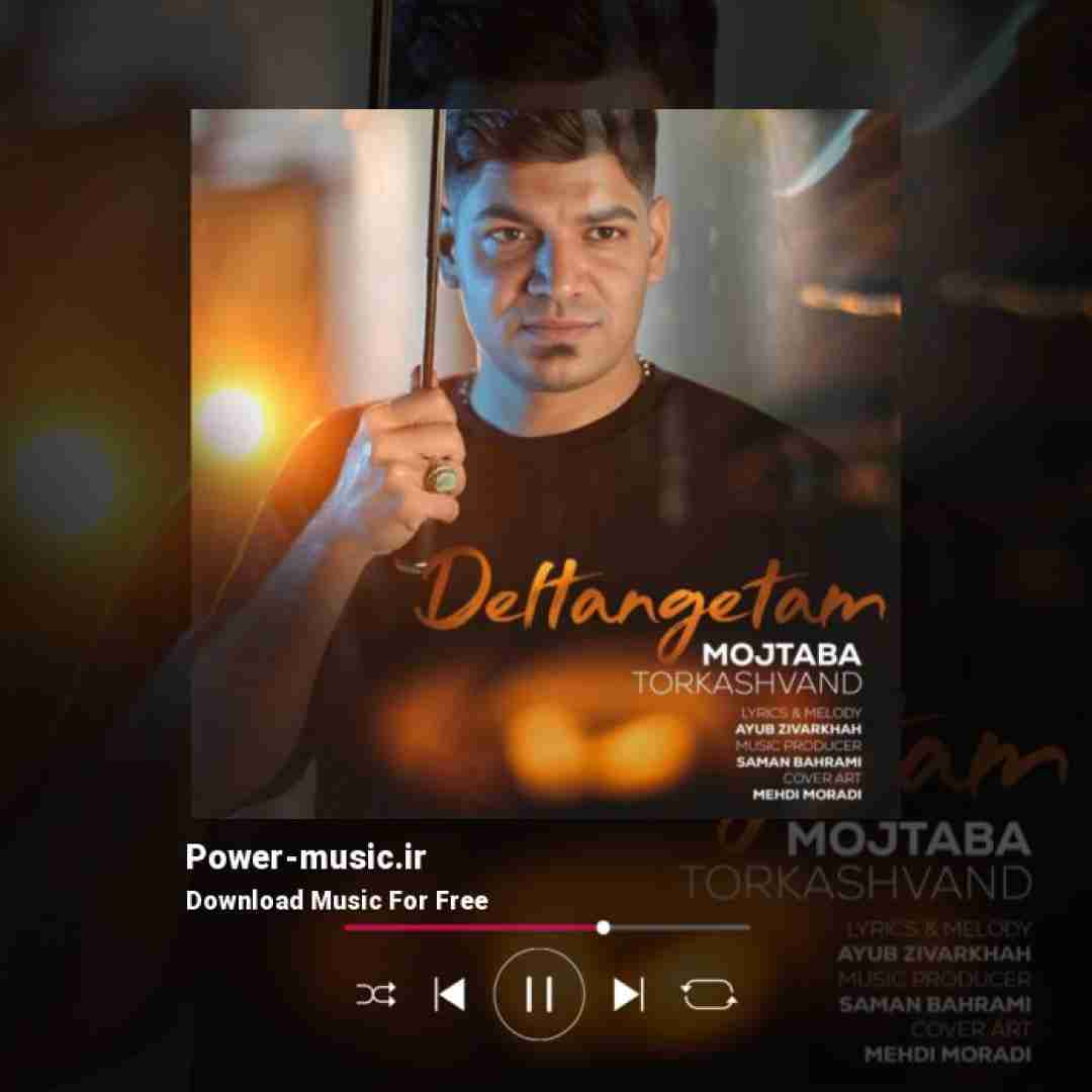 مجتبی ترکاشوند دلتنگتم