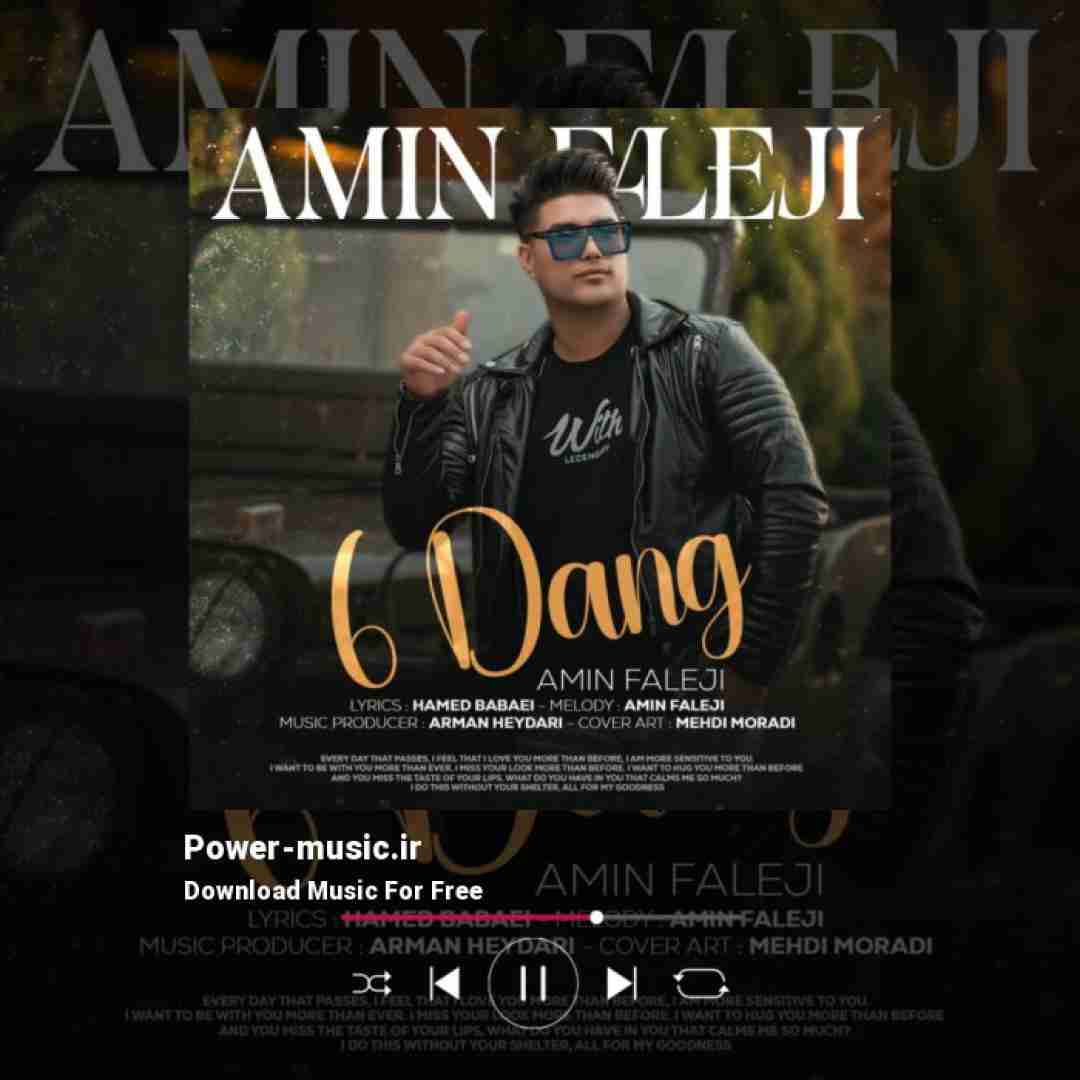 امین فالجی شش دانگ