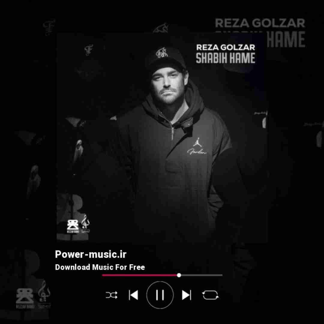 محمدرضا گلزار شبیه همه