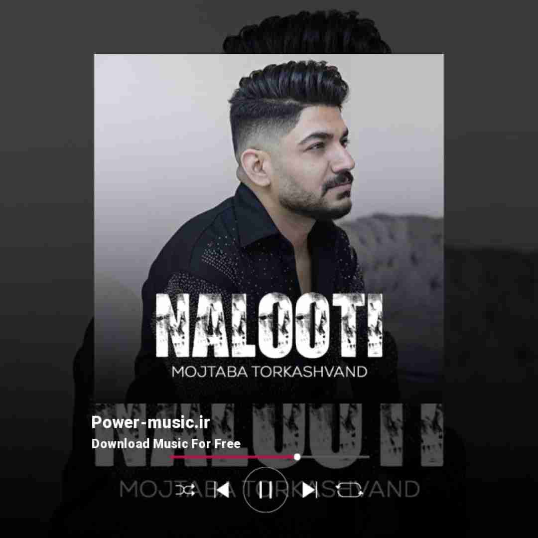 مجتبی ترکاشوند نالوطی