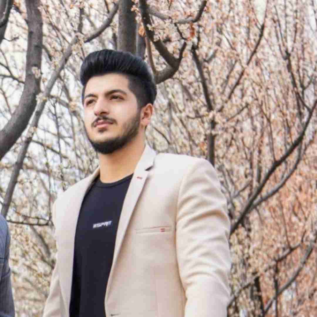 امیر سیاوشی دنیا