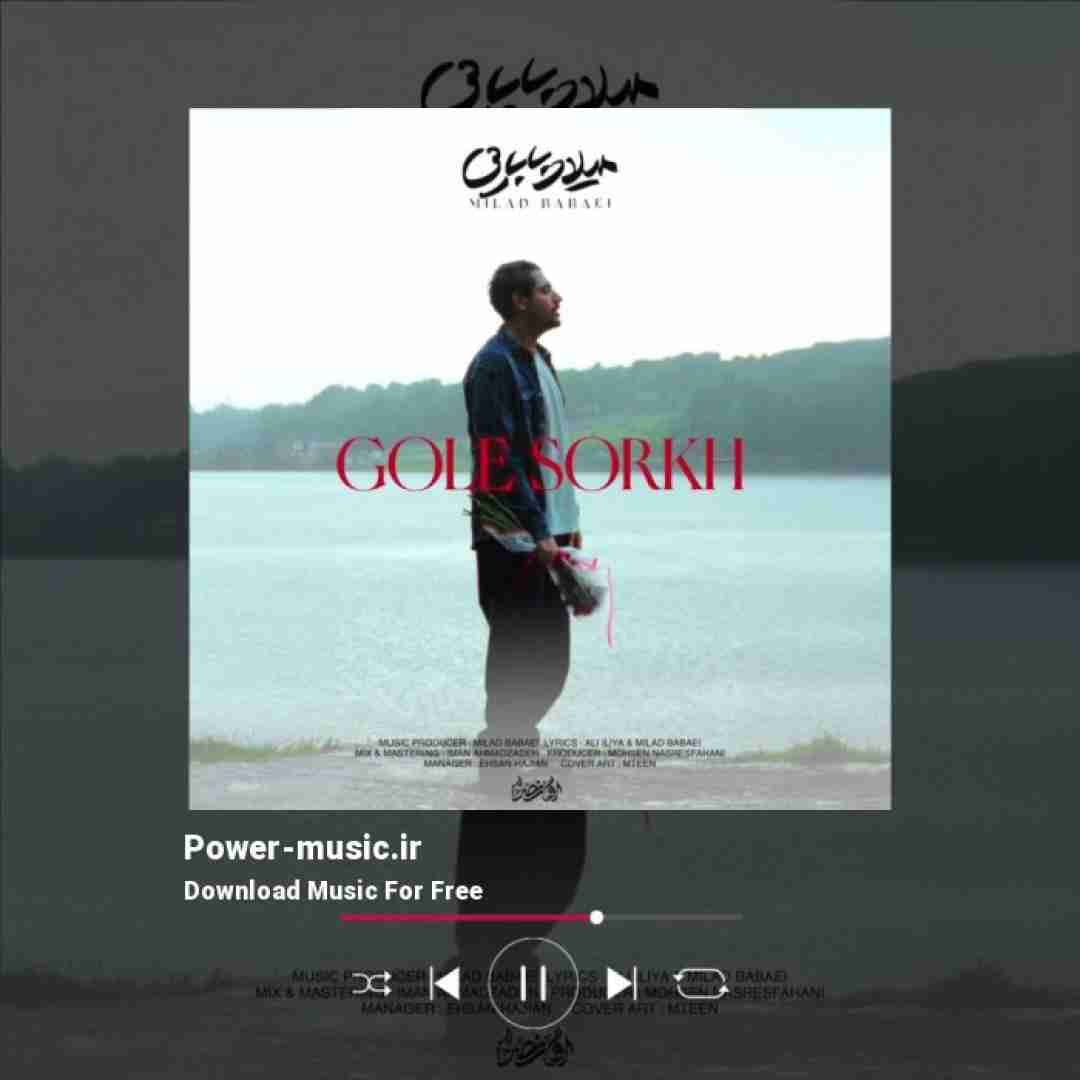 میلاد بابایی گل سرخ