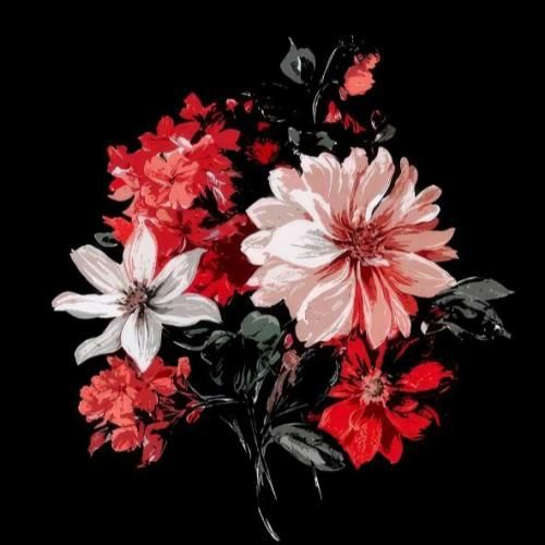 سنا برزنجه مه‌رو