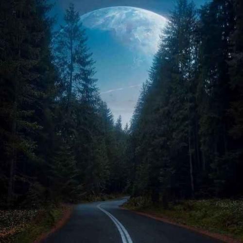  ولی من دلم میخواد جلو اونیکه دوستت داره