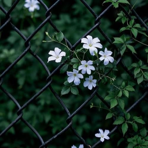  خونه پر از رنج سکوت وای دلم تنگه