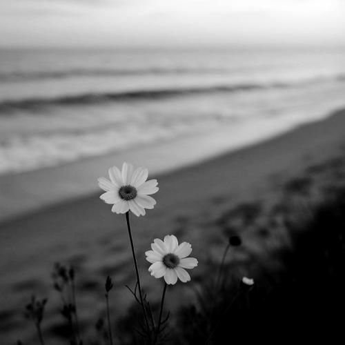 هنوز دمقم هنوز تو همون طبقه ام