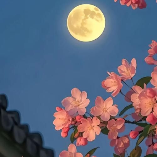  شما شنیدین ما دیدیمو بوی مای بیبی میدیمو