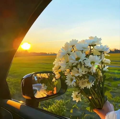  پیش شما شازده خانوم منم حقیر پا پتی