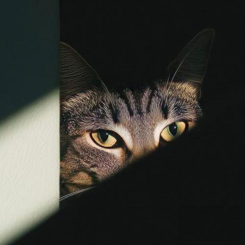  میخوام اینو بدونی چه بری یا بمونی میمونه دل خونی