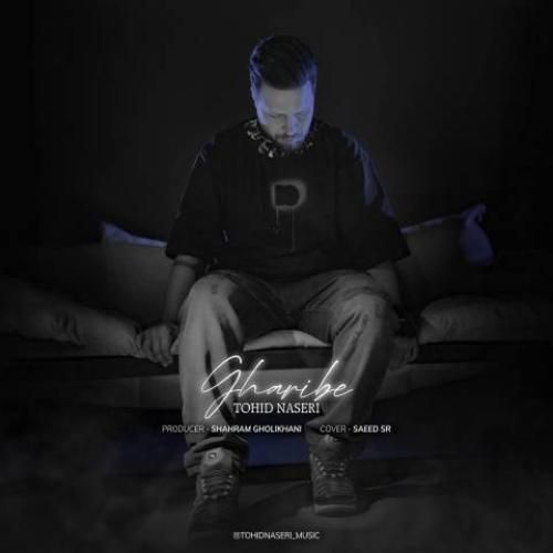 توحید ناصری غریبه