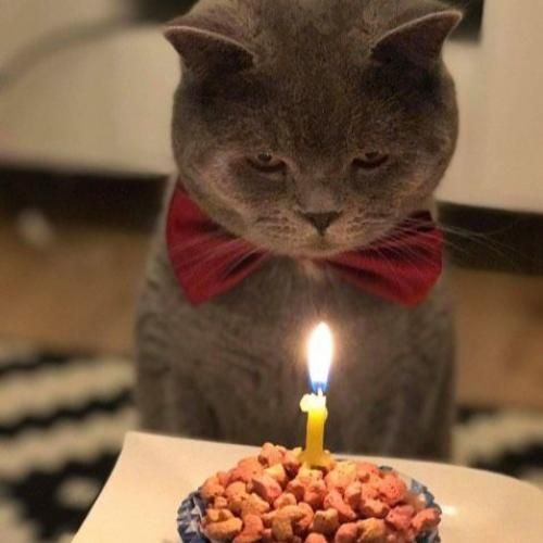 شب تولدم تنها رفتم کیک گرفتم