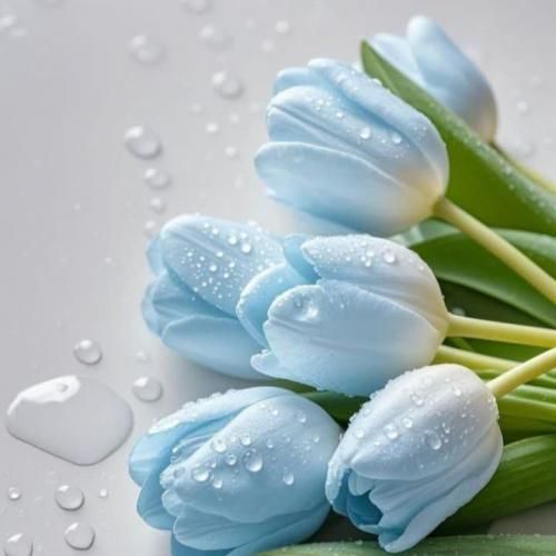 در کار عشق ما همیشه اما بود