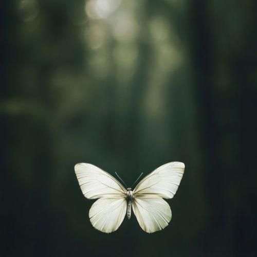  به جز قصه ی این عشق چی گفتم چی شنفتم