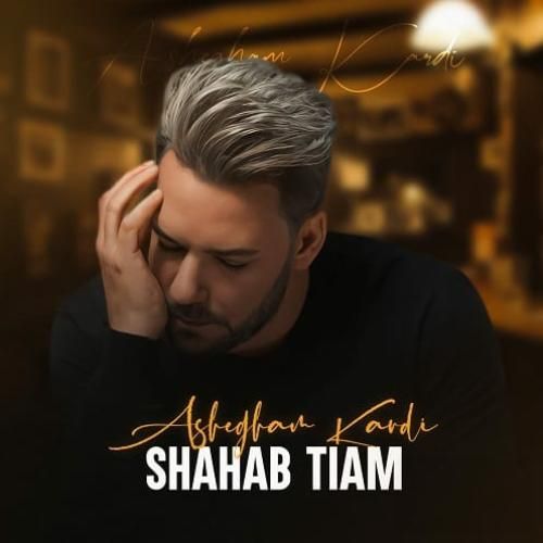 شهاب تیام عاشقم کردی