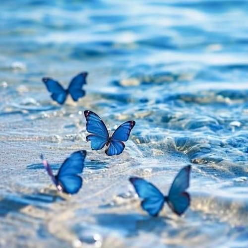  رفیقم آر آی پی میکشید بعد بهش میگفتم دست من ندید