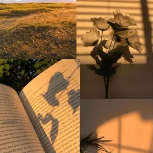  یکی پیدا نمیشه بگه بم میفهممت قول میدم بگه