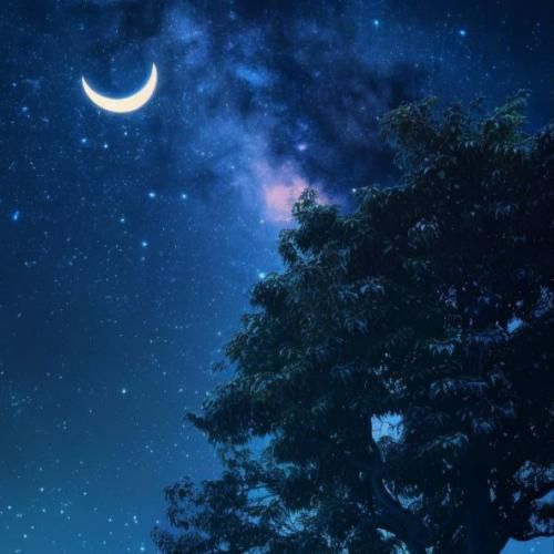  چه فرقی میکنه کجام چه فرقی میکنه کیم