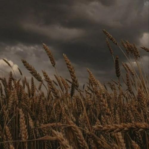  مراقبم کسی زیرو رو نکشه آخه همه یه جور رفتار میکنن