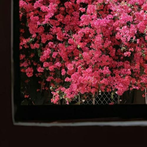  میشم سایکو توی نایتو میکنم های چون میخوام